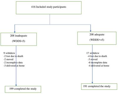 Effects of dietary diversification during pregnancy on birth outcomes in east Gojjam, northwest Ethiopia: A prospective cohort study